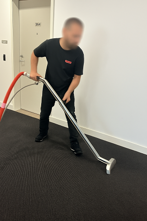 carpet cleaning carpet cleaning