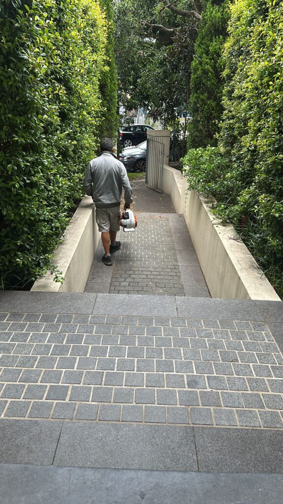 whatsapp image 2025 10 10 at 15.18.03 (5) Out door cleaning